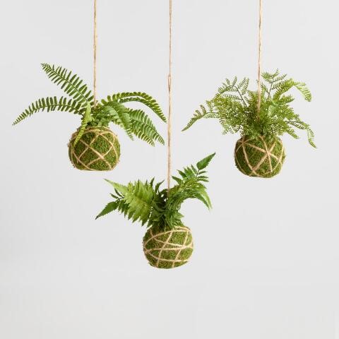 KitchenGardenKH's tweet photo. Book your place for the Kokedama workshop now. The Kokedama is the perfect alternative to the usual plastic hanging pot. ♻️✂️🌳

Wed 18th March, 10.00 – 12.00pm, £30. Price includes materials &amp; plants for 2 Kokedama. To Book, visit in store or call 07969 212855.

#plasticfree https://t.co/c4SdjQzMKz