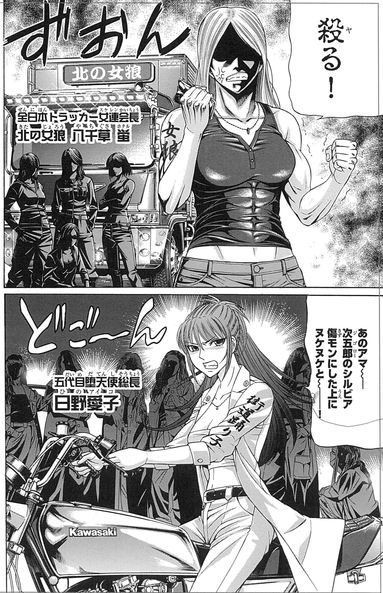 カメレオン ジゴロ次五郎 クロアゲハ | monsterdog.com.br