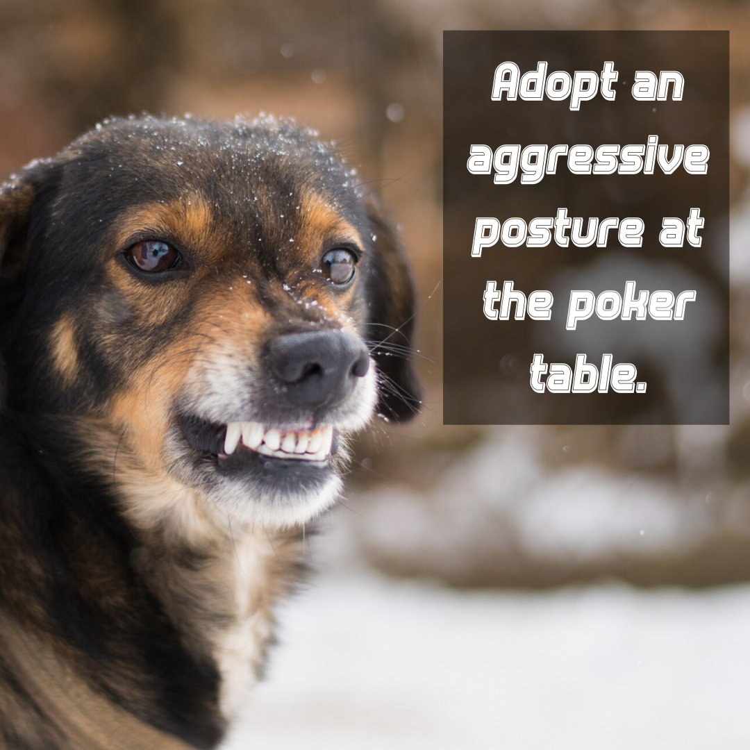 pokerworldtoday's tweet photo. In #poker you must time your plays and focus your aggression. Once you master the basics of the game – the rules, the etiquette, &amp; the betting practices. You will need to up the ante by learning to increase your aggressiveness at the table. ♣️ https://t.co/9bxByoElTh https://t.co/LTwjK0sZsx