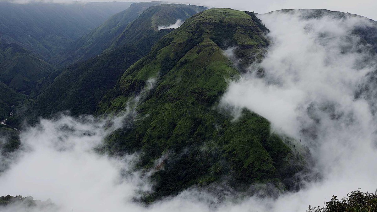 AlightIndia's tweet photo. Meghalaya, also known as ‘Scotland of the East’ is truly an abode of clouds. It is situated in north-east India surrounded by mountainous forest.
Click to know more: https://t.co/NgIbMgKxNT

#AlightIndia #Meghalaya #AbodeofClouds #StateofIndia #MeghalayaTourism #Shillong #India https://t.co/AiVBCqn1Jh
