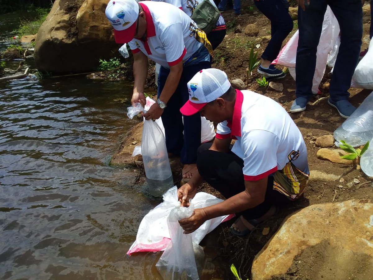 DJPBD_BPBAT Tatelu tweet media