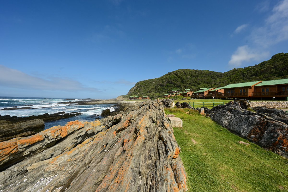 CorneliaSchmid's tweet photo. My South Africa Part VI
#StormsRiver #GardenRoute #SouthAfrica https://t.co/7GPMtPINAb