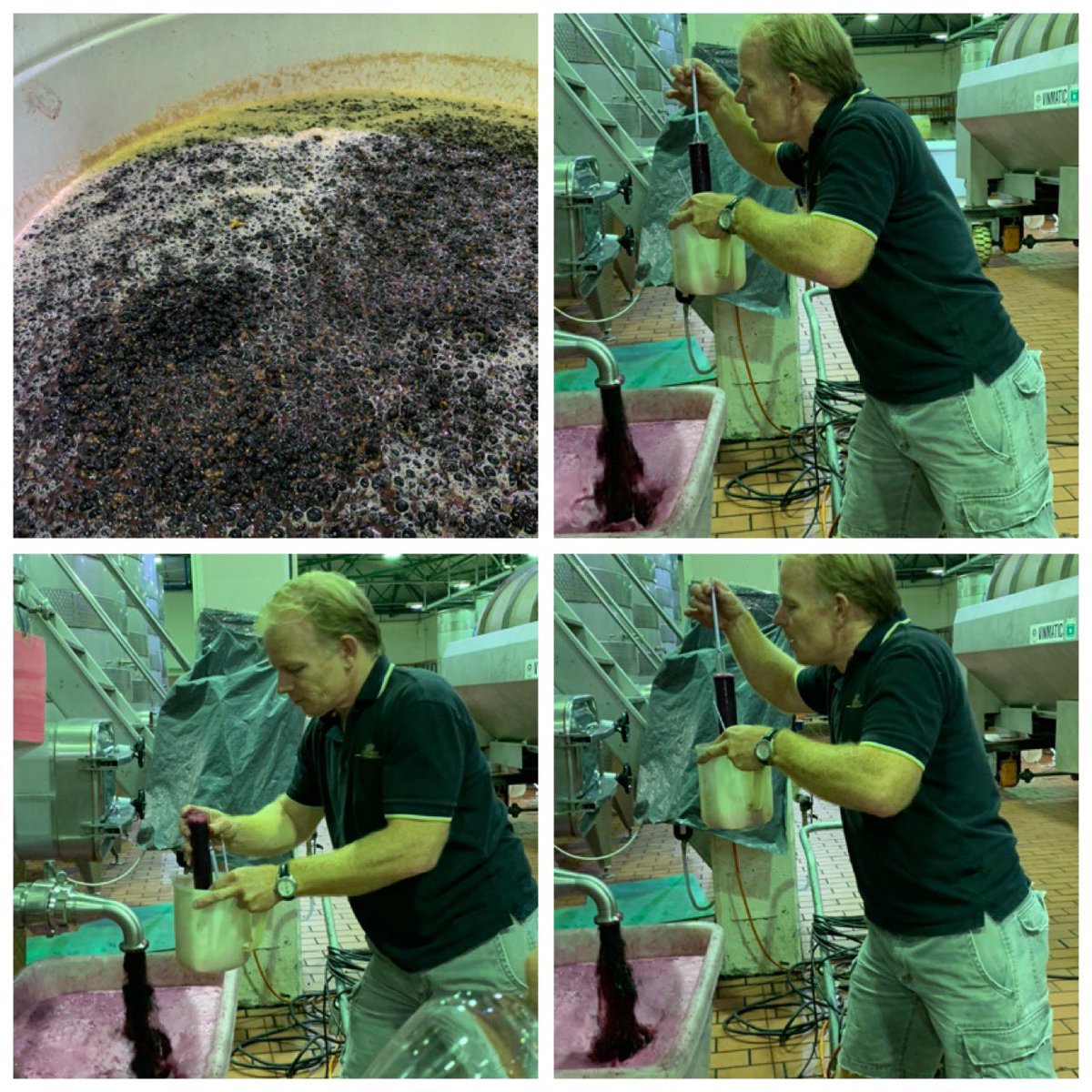 Winnie Bowman, CWM (@winbeebee) on Twitter photo Time for #CabernetFranc Boela from <a href="/GrootConstantia/">Groot Constantia</a> measuring the sugar content during fermentation of the #2020Vintage #LoveConstantia <a href="/ConstantiaRoute/">ConstantiaWineRoute</a> <a href="/jaredincpt/">Jared inCPT</a> <a href="/GuyMcDonald/">Guy McDonald</a> Time for #CabernetFranc Boela from <a href="/GrootConstantia/">Groot Constantia</a> measuring the sugar content during fermentation of the #2020Vintage #LoveConstantia <a href="/ConstantiaRoute/">ConstantiaWineRoute</a> <a href="/jaredincpt/">Jared inCPT</a> <a href="/GuyMcDonald/">Guy McDonald</a>