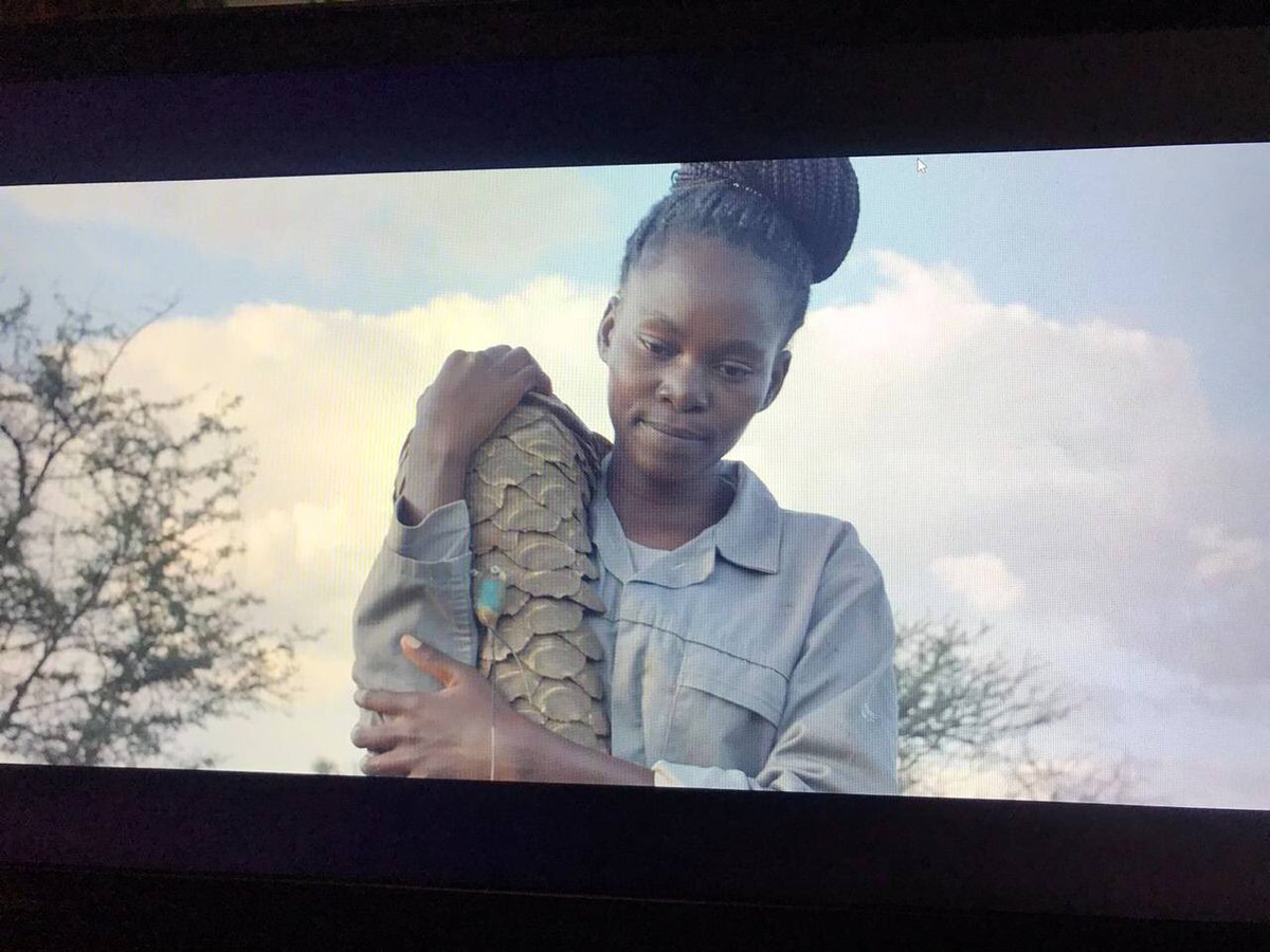 newfafrica's tweet photo. 2019 #newpitch Winner, Tami Marriott has been in production on her film "Pango - The Unchained #Pangolin" - A story of struggle, hope and an animal on the brink of extinction.
#FilmInConservation #NEWF2020 #illegalwildlifetrade #wildlife https://t.co/PDY0KRp41x