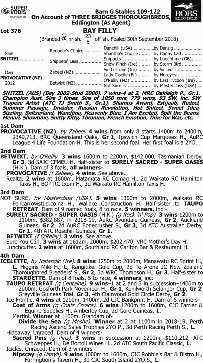 BreedWatchOC's tweet photo. #InglisMelbournePremier2020

• The Highest Priced 'Filly'  

Lot 376

Snitzel x Provocative NZ by Zabeel

[Northern Dancer: 5S X 5S X 5D]

The Dam won the 2016 Queensland Oaks (2400m)

Vendor : @ThreeBridges1 

Sold for $400K to @PMBRacing &amp; @BallymoreStabls 

#Snitzel #TopFilly https://t.co/lox0jbMWcY