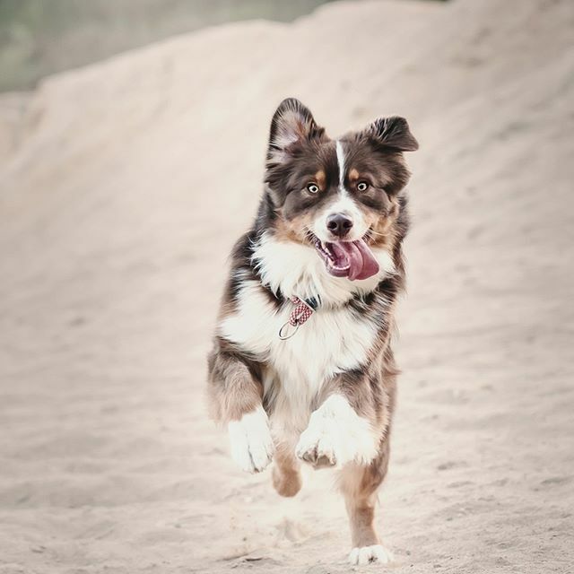 Na, seid ihr schon im Wochenendmodus❓⁠
Was steht bei Euch an?⁠
⁠
Egal, ob Faulenzen oder aktives Wochenende - genießt es!⁠
⁠
#fotokasten #wochenende #hochdiehaendewochenende⁠
⁠
Photo by Joséphine Menge on Unsplash