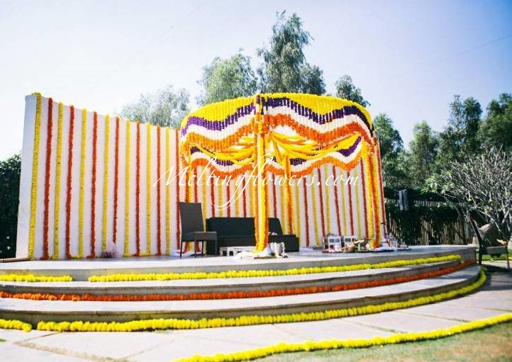 meltingflowers's tweet photo. Sunshine Themed Decor For Outdoor Wedding Venues. Contact us For Decorating Your Wedding Or #Events Across South India.
https://t.co/4w5209MwMU
#SunshineThemed #MarigoldDecoration #MarigoldTheme #MandapDecoration #StageDecoration #WeddingStage #ReceptionStage #EntranceDecoration https://t.co/1eEctfnyP7