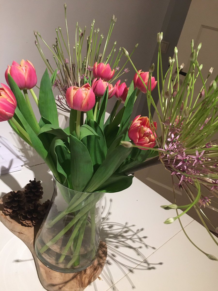 オランダ バッハ協会 Hashtag On Twitter