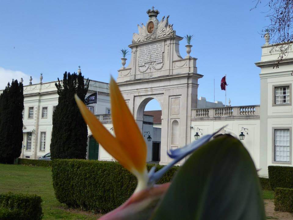 skymanuelima's tweet photo. O Palácio de Seteais, elegante palácio, agora um hotel de luxo e restaurante da Sociedade Hotel Tivoli, foi construído no século XVIII para o cônsul holandês, Daniel Gildemeester, numa porção de terra cedida pelo Marquês de Pombal. #Sintra #Seteais #Palacio #visitportugal https://t.co/4INhOQnGP0