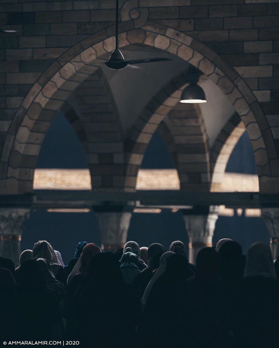 أصبحتُ .. والشوقُ يحدوني إليك،ودمعي شاهدٌ،
    وفؤادي فيكِ مشتعل.🍃