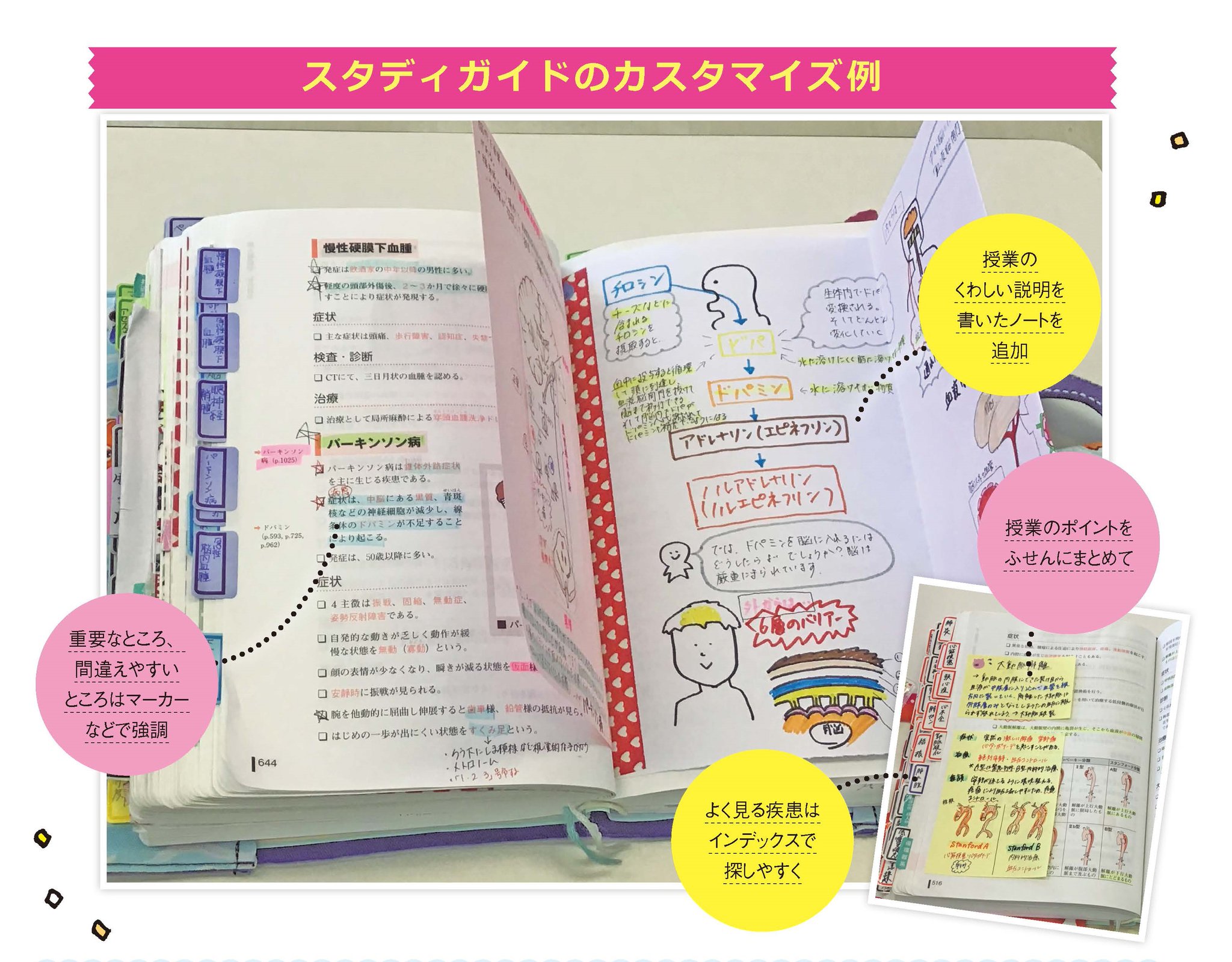看護学生スタディガイド2022 - 照林社