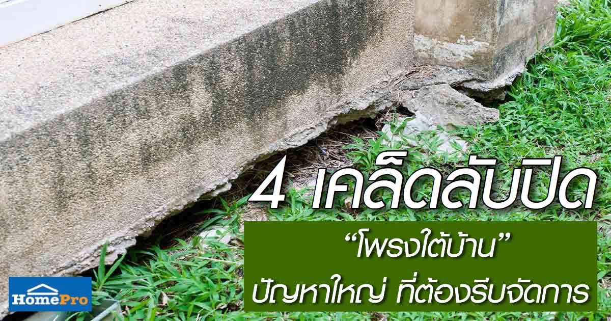 HomePro_TH's tweet photo. 4 เคล็ดลับปิด “โพรงใต้บ้าน” ปัญหาใหญ่ ที่ต้องรีบจัดการ  😊👍
⚡คลิกอ่านเลย https://t.co/dVxwN6Slvh
⚡คลิกเพิ่มเติม https://t.co/wTvPiaIEFs
#HomeGurubyHomePro #ความรู้เรื่องบ้าน #โฮมโปร #เรื่องบ้านน่ารู้ #บ้าน #เคล็ดลับ https://t.co/VbIiR80Qh0