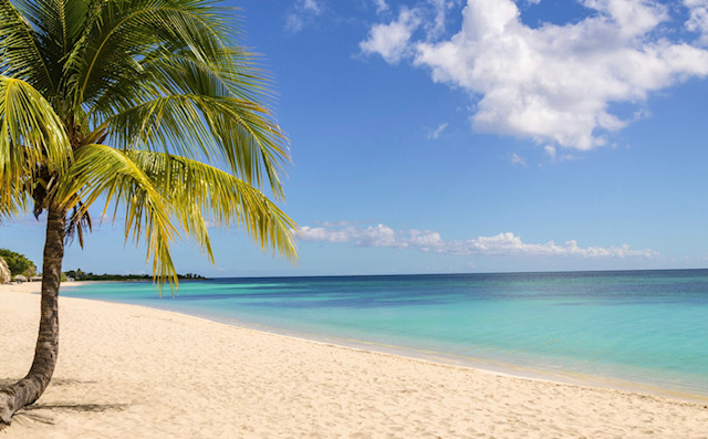 Sebastiaan Kodden tweet media