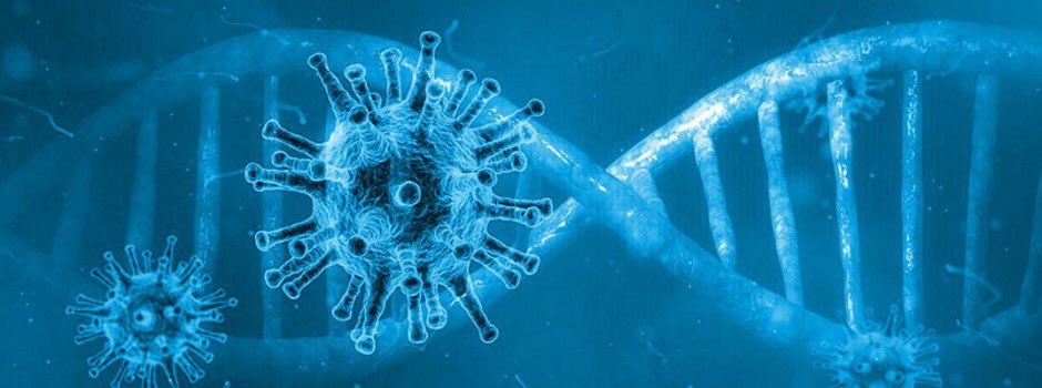 f3normandie's tweet photo. ⚠️COVID-19 ‼️: ENSEMBLE CONTRE LE VIRUS
Nous répondrons en direct à vos questions à 10h45 dans une émission spéciale ! 📺
👉🏼 Des experts seront sur le plateau pour répondent à toutes vos questions avec @patricegascoin et @ocouvreur ! https://t.co/fInSN8QXYM