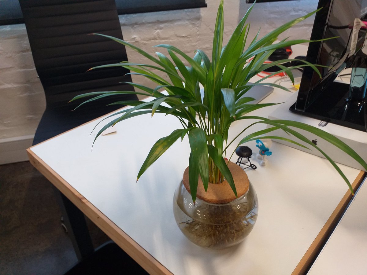 So my wife got me this little #braai stand for my desk. It's the #littlethings ♥ #office