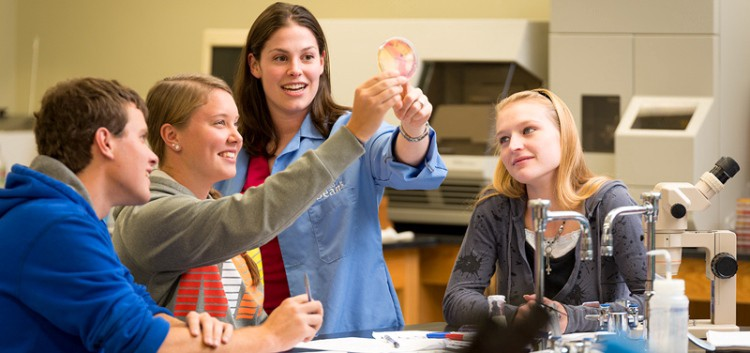 work_expert's tweet image. Need help with biology assignments? Don&apos;t be stuck. Get professional biology homework help for high school, college and university at a cheap price
Order now support@homeworkexpert.org to know more click homeworkexpert.org/biology
#BiologyAssignmentHelp #BiologyAssignmentHelpService