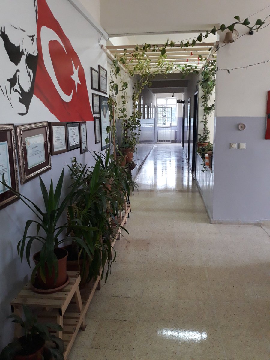 MehmetG69819204's tweet photo. Emel Eyyup Fındık ilkokulu pırıl pırıl @gul_davut @yasintepe @Cgnde @NizipilceMEM @hakkush_ @OnurFT5 @AyataPekmez @nevinsimsek25 @ELIFYUSUFOMER @NurhanGVEN3 @FndkMstfindik https://t.co/BnQM5AnTFE