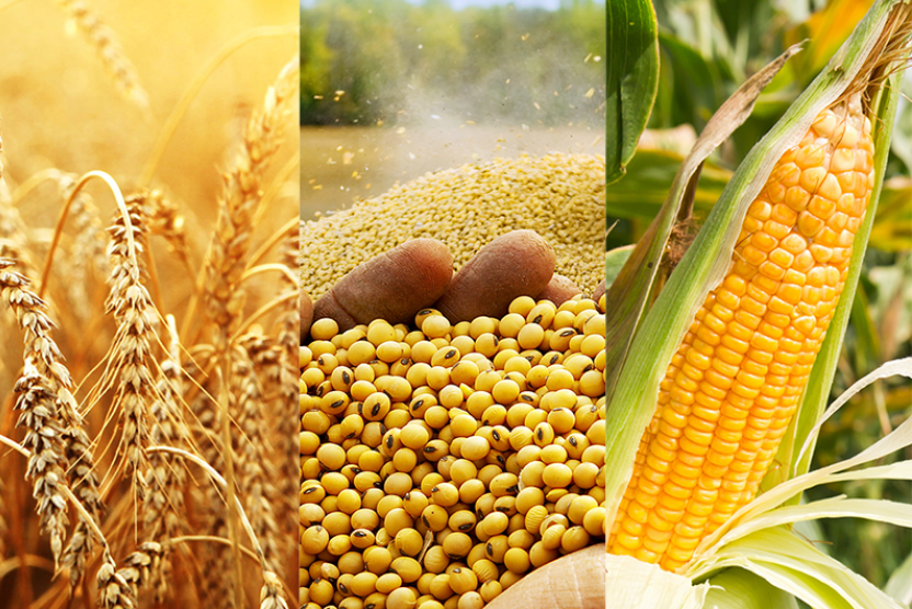 planet_tracker's tweet photo. Countries who are reliant on soft commodities that are exposed to #NaturalCapital risks may face future reductions in soft commodity production capacity, with knock-on effects on exports, gov revenues & employment. All these risks are captured by #sovdebt https://t.co/cSsoBH42hK https://t.co/sfXSqHxqYY