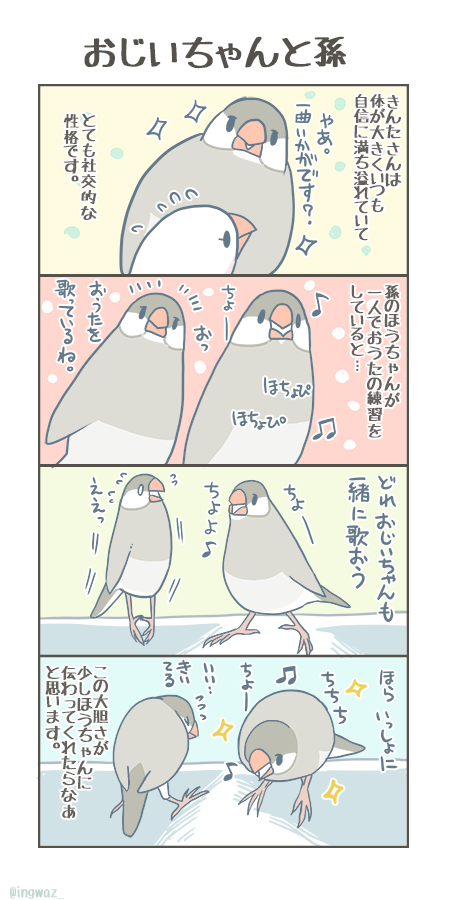 おじいちゃんと孫。

#buncho #javasparrow #文鳥 