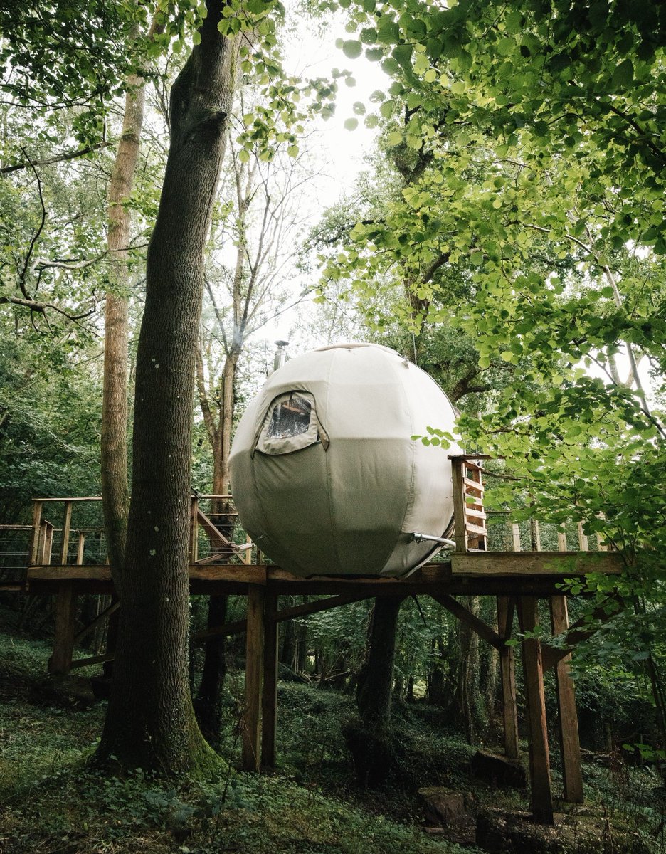 TreeTents's tweet image. &quot;It was the perfect escape from City life and felt like it was a real escape&quot; – Adam 
#rewildinghumans #treetent #ecobuild #naturelovers #outdoorliving #glampinglife