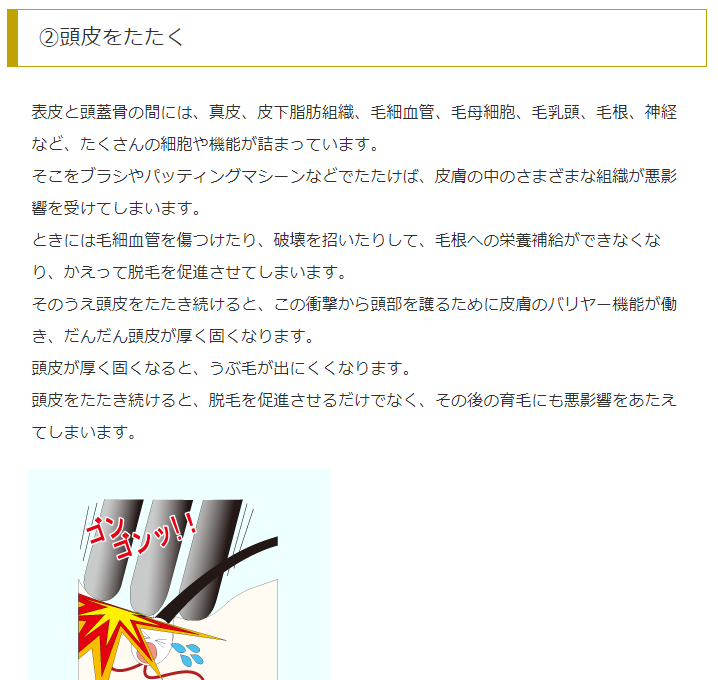 株式会社ルチア やってはいけない育毛法 育毛剤浸透器具もダメですよ 育毛 ハゲ 薄毛 抜け毛 ヘアケア 育毛剤 シャンプー 頭皮 アンチエイジング スカルプケア 育毛剤浸透器具 絶対ダメ
