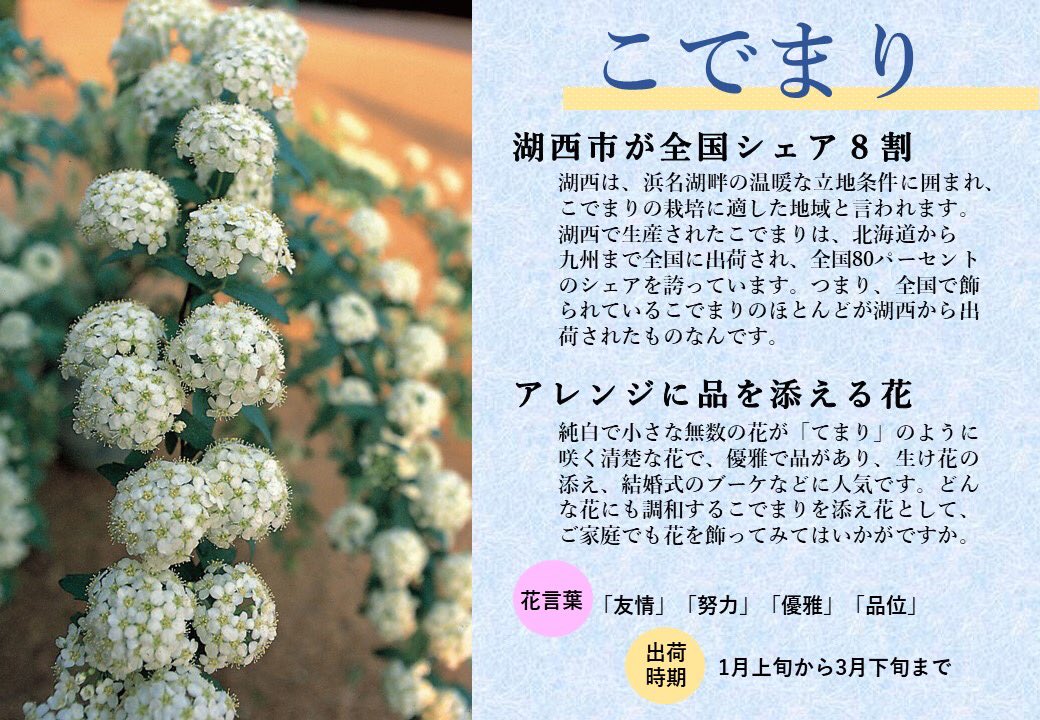 ページを こでまり様専用の通販 by ak's shop｜ラクマ カテゴリ