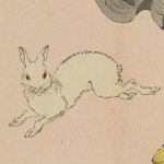 main image of this resource