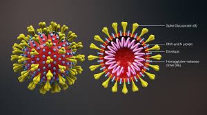 Virus …biologypulsusconference.wordpress.com/2020/03/13/vir…