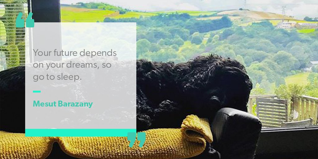 wowsleepexperts's tweet image. &quot;Your future depends on your dreams, so go to sleep.&quot; 

Mesut Barazany 👆

#sleepquote #quote #dreams #sleep