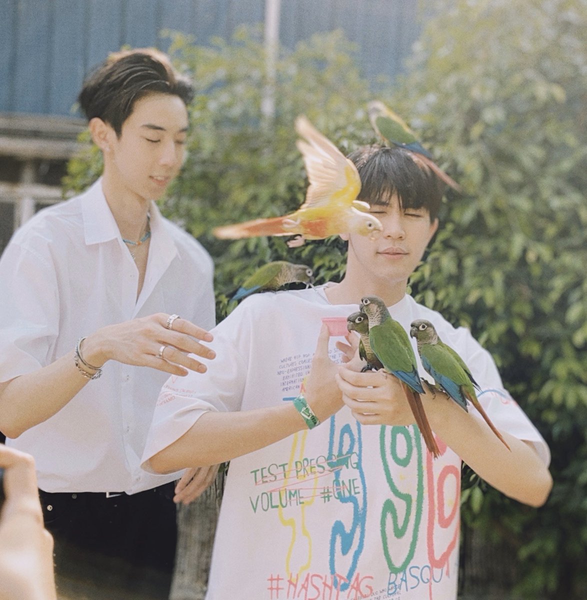 save_saisawat's tweet photo. นกใจเย็นนะ https://t.co/Ay78wVkWzd