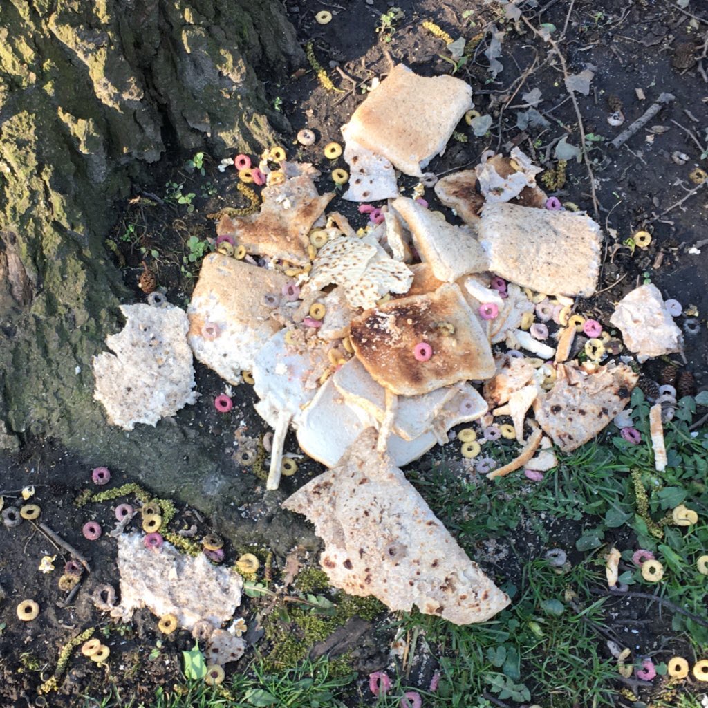 Whoever is leaving this in Central Park (nr Asda) please stop. It just feeds the local rats &amp; spreads disease among birds, foxes and dogs. Diseases then risk being passed on to local predators such as our lovely owls. If it’s not fit for you to eat, it’s not fit for anything else