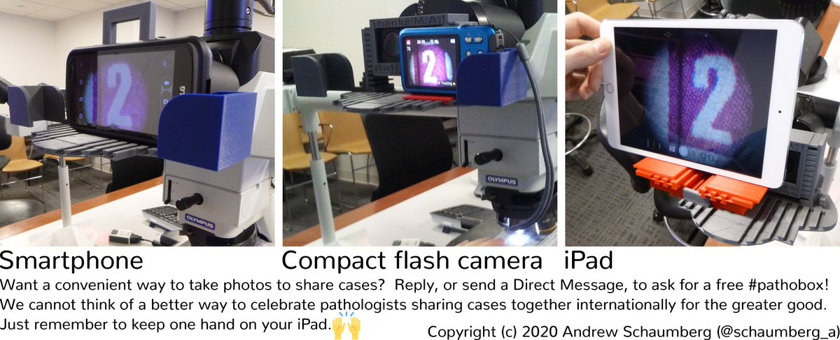 pathobotology tweet media