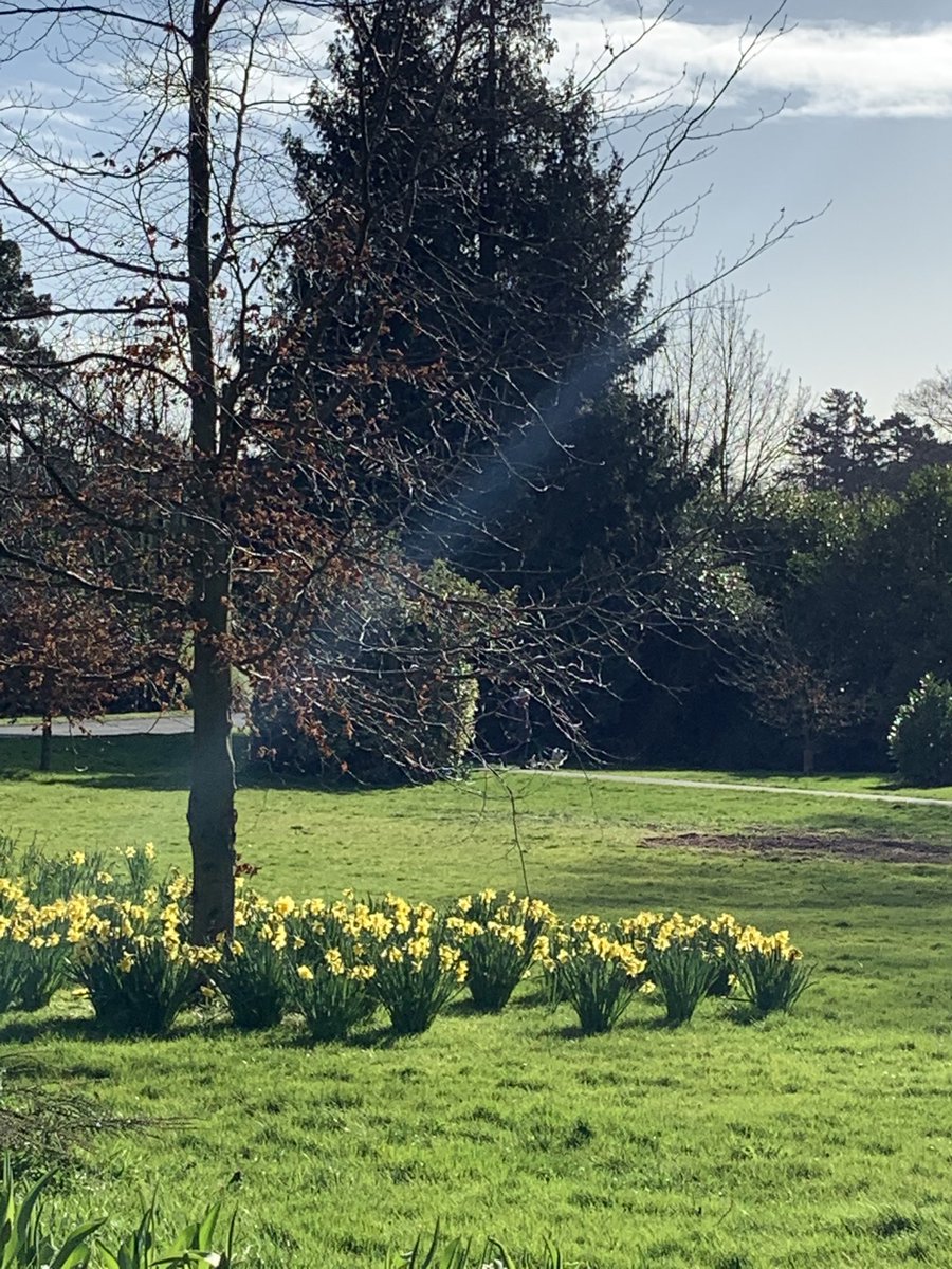 stevecurzon's tweet photo. It’s a beautiful day people! Enjoy your Friday! https://t.co/Ngn7yZa4CO