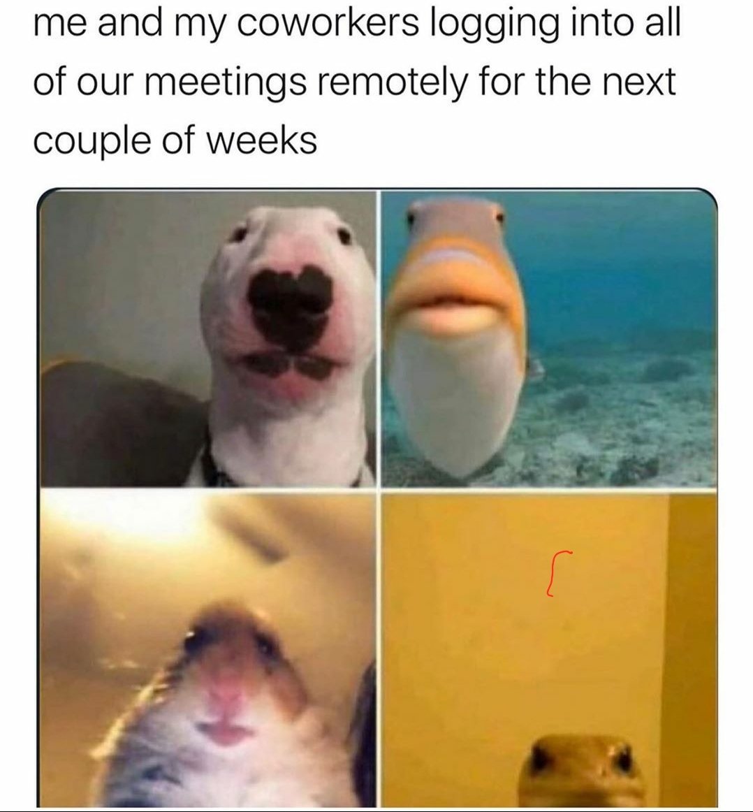 Silverlining of #coronavirus prevention rules? People give a chance to #homeworking. My bet: they're gonna love it.