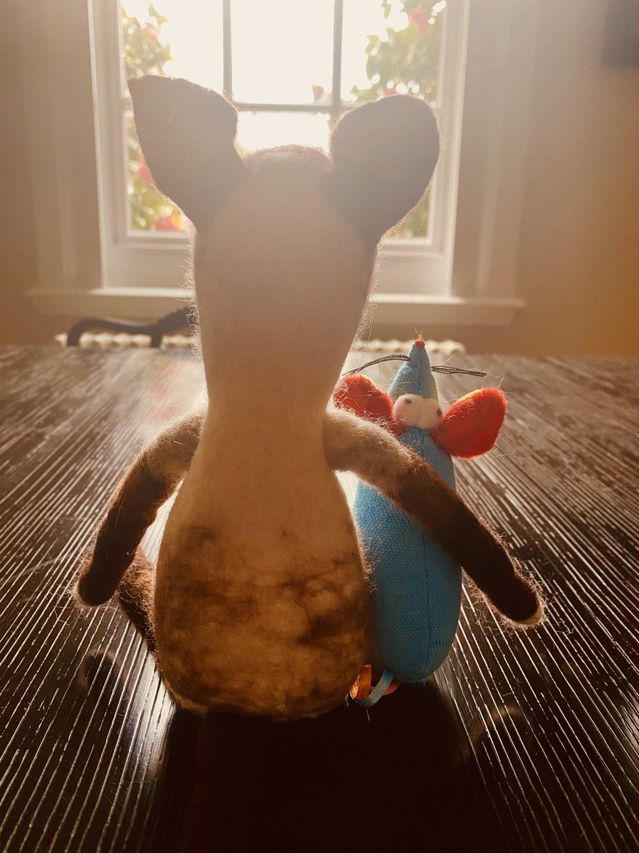 myleftfang's tweet photo. https://t.co/NPHILzyi9B