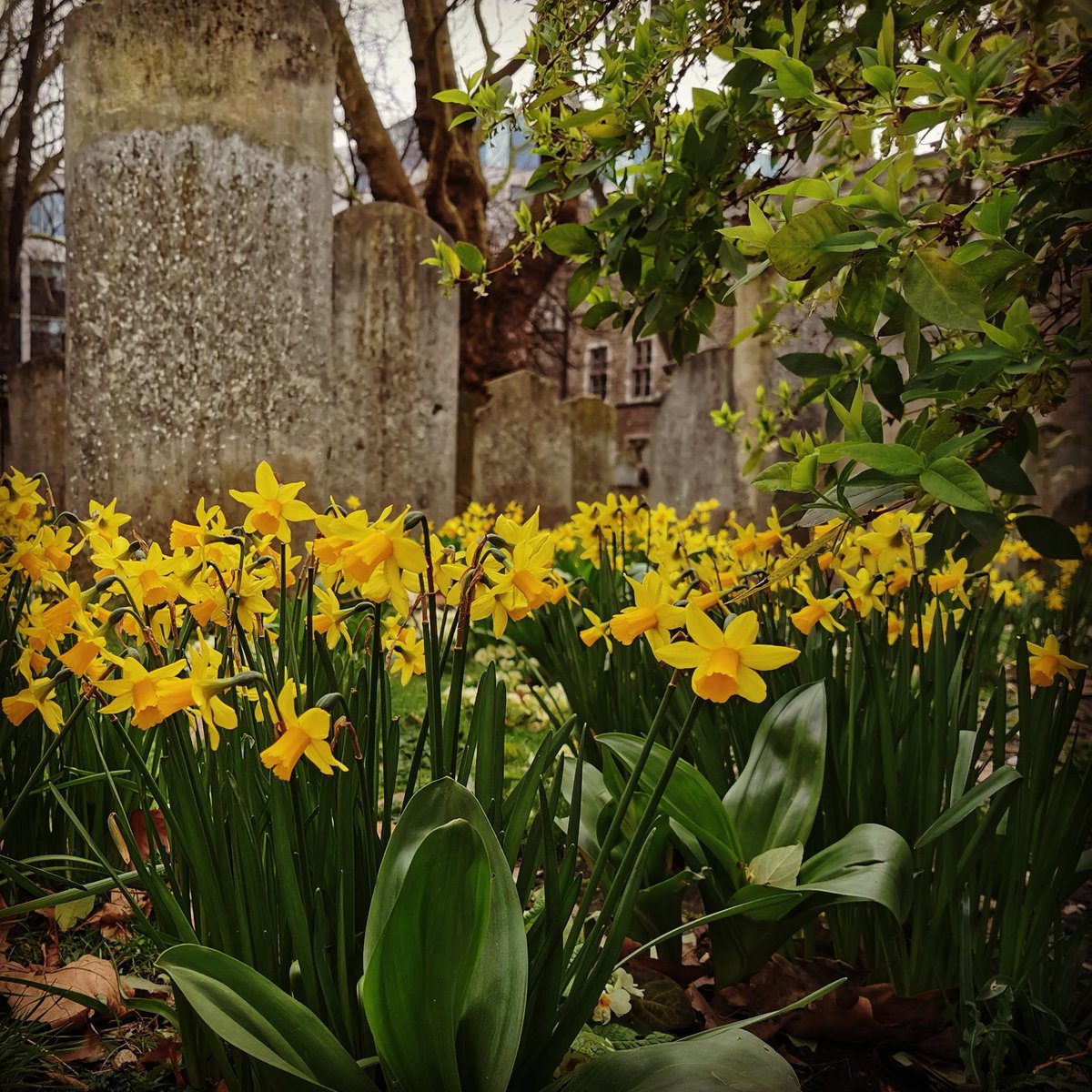AVTSystems's tweet photo. Our #FridayFeeling photo this week is a reminder that Spring is coming.  Stay safe and have a good weekend. https://t.co/Ib9Ig5M6sz