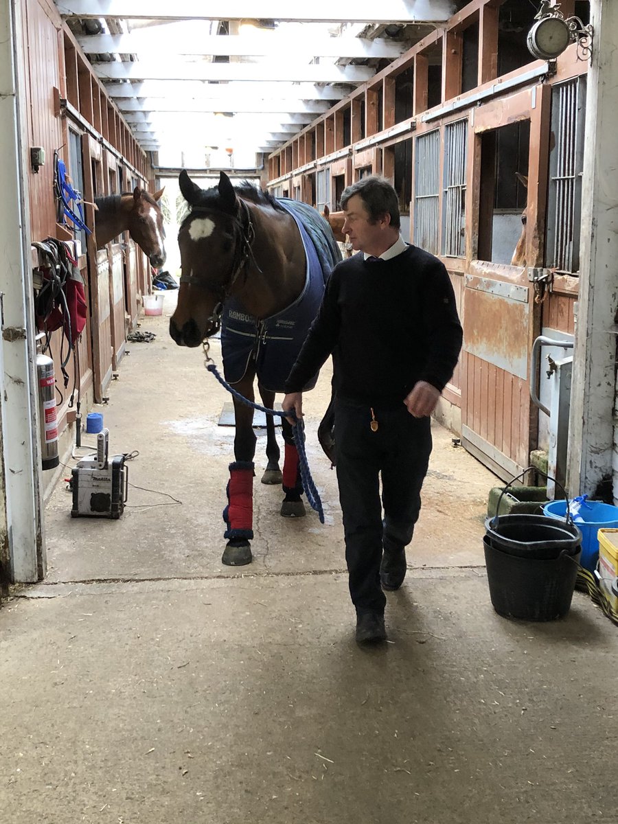 Michelle Fernandes tweet media