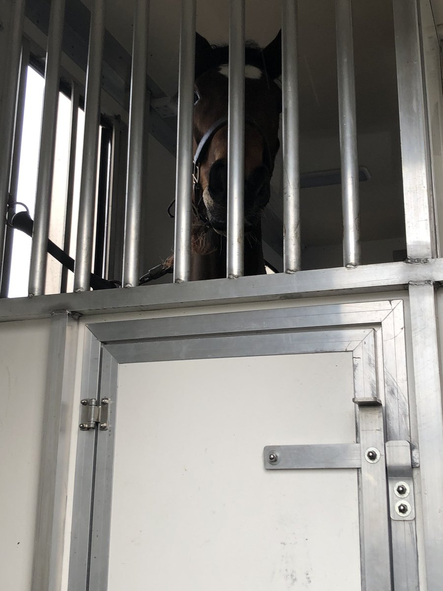 Michelle Fernandes tweet media