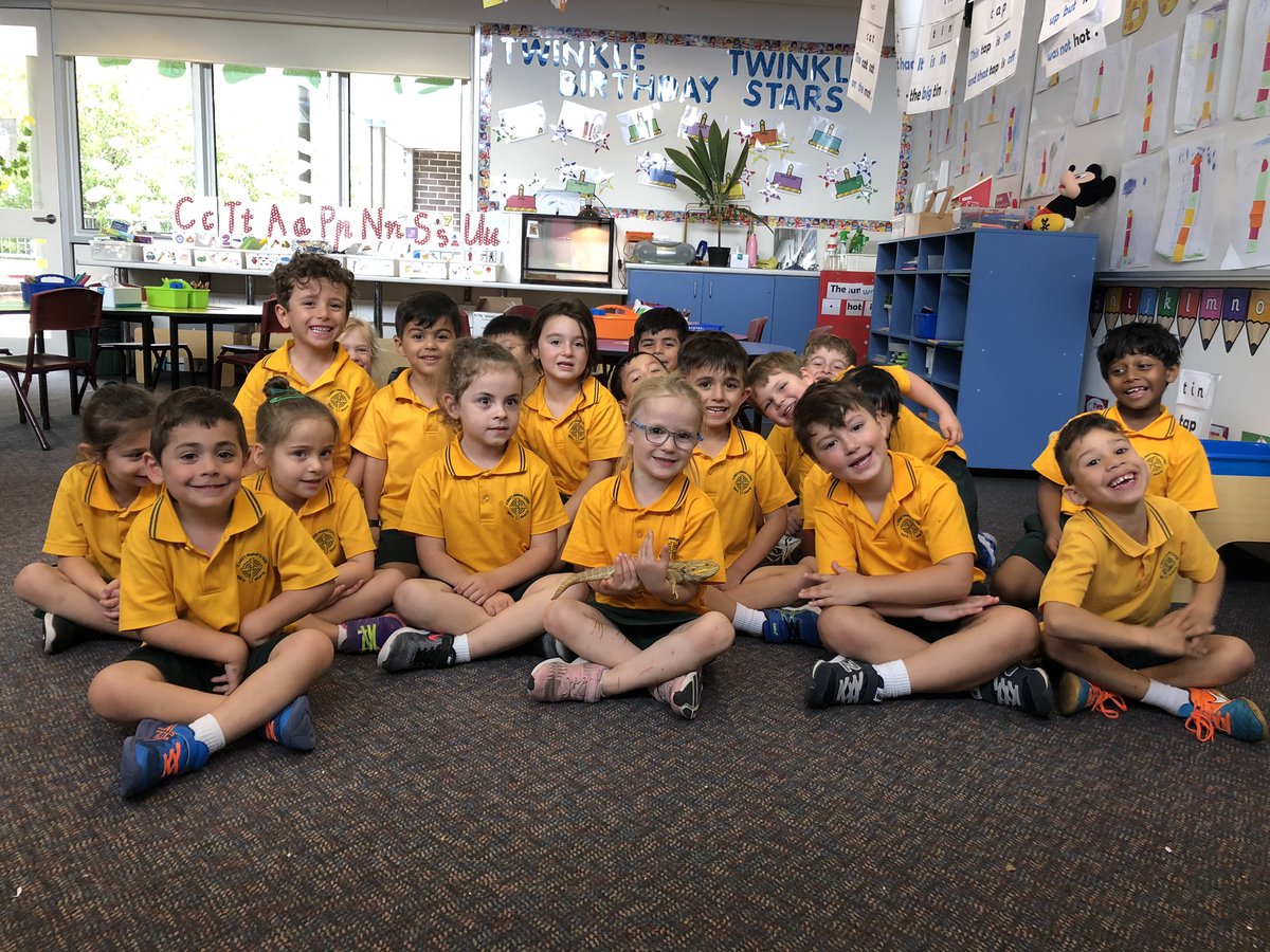 sbedesbn's tweet photo. Today we met Pebbles the bearded dragon and began to brainstorm our questions about how an animal’s features can help them survive. 🦎 https://t.co/Hlqv3a1U29