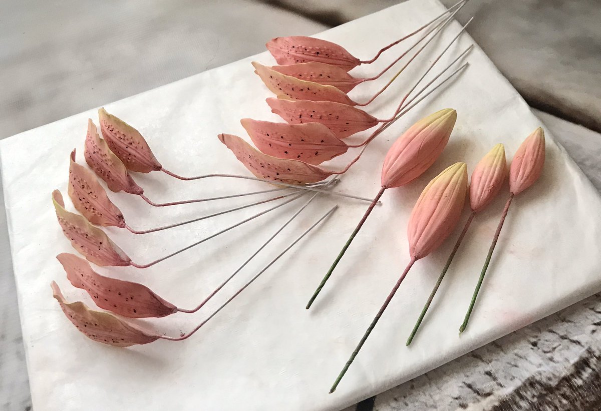 ❤️karen Mary Elizabeth❤️ tweet media