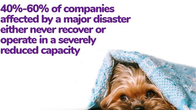 Worried about how your business will cope as cases of #Coronavirus increase?

Take a look at our #disasterrecovery service to see how we can keep everything running smoothly: buff.ly/39I2wUm #COVID2019uk