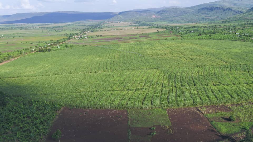 Ministry of Agriculture & Animal Resources |Rwanda tweet media