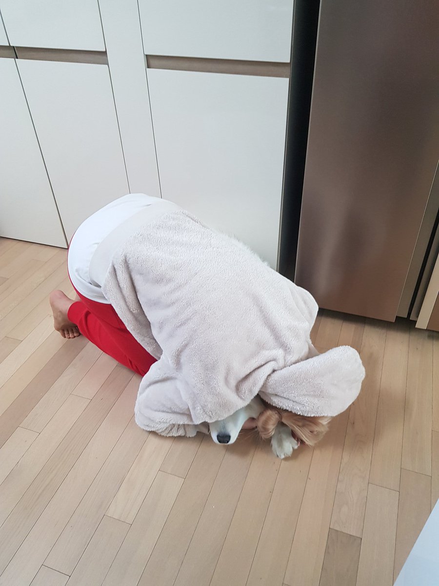 polarsom's tweet photo. 소미가 너무좋은 언니 https://t.co/z7c2izjI7i