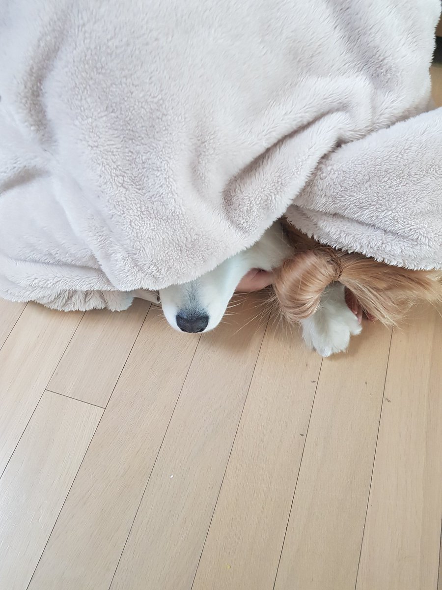 polarsom's tweet photo. 소미가 너무좋은 언니 https://t.co/z7c2izjI7i