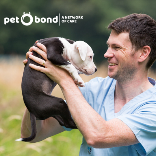 petbond_ireland's tweet photo. #COVID19 and your pets:
* The good news is that there is no evidence that pets are involved in the spread of the #coronavirus 
* No need for alarm relating to pets.
* You can walk your dogs as normal. Wash their pads on return if you usually do.
More info: https://t.co/81gbhbotds https://t.co/nFC2linfVK