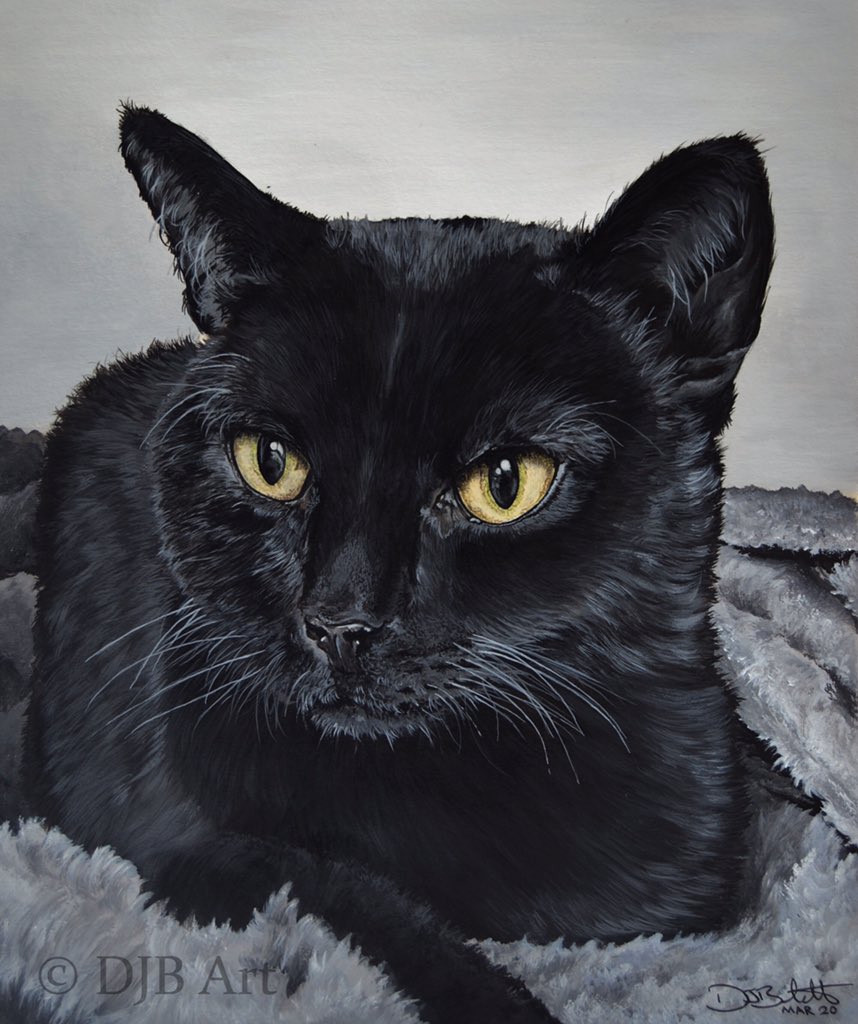djbirkett's tweet photo. Here is Salem. My latest painting I was asked to produce for a surprise birthday gift. 🎨🖌 https://t.co/3qoDksNF9j