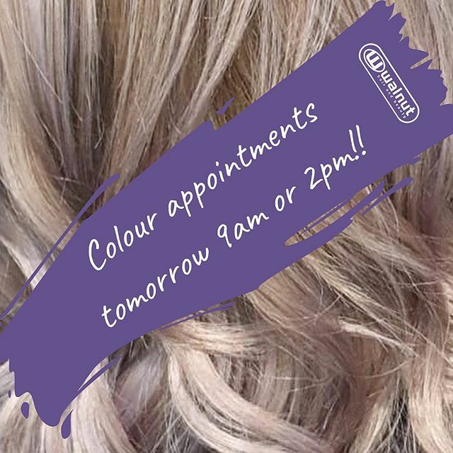 TheWalnutWay's tweet photo. ✨ 𝗖𝗔𝗡𝗖𝗘𝗟𝗟𝗔𝗧𝗜𝗢𝗡 𝗦𝗣𝗔𝗖𝗘𝗦 ✨CALL 01661 833638✨👌🏼 https://t.co/ukZ9QVDwAS https://t.co/Pm7CYr9PXp