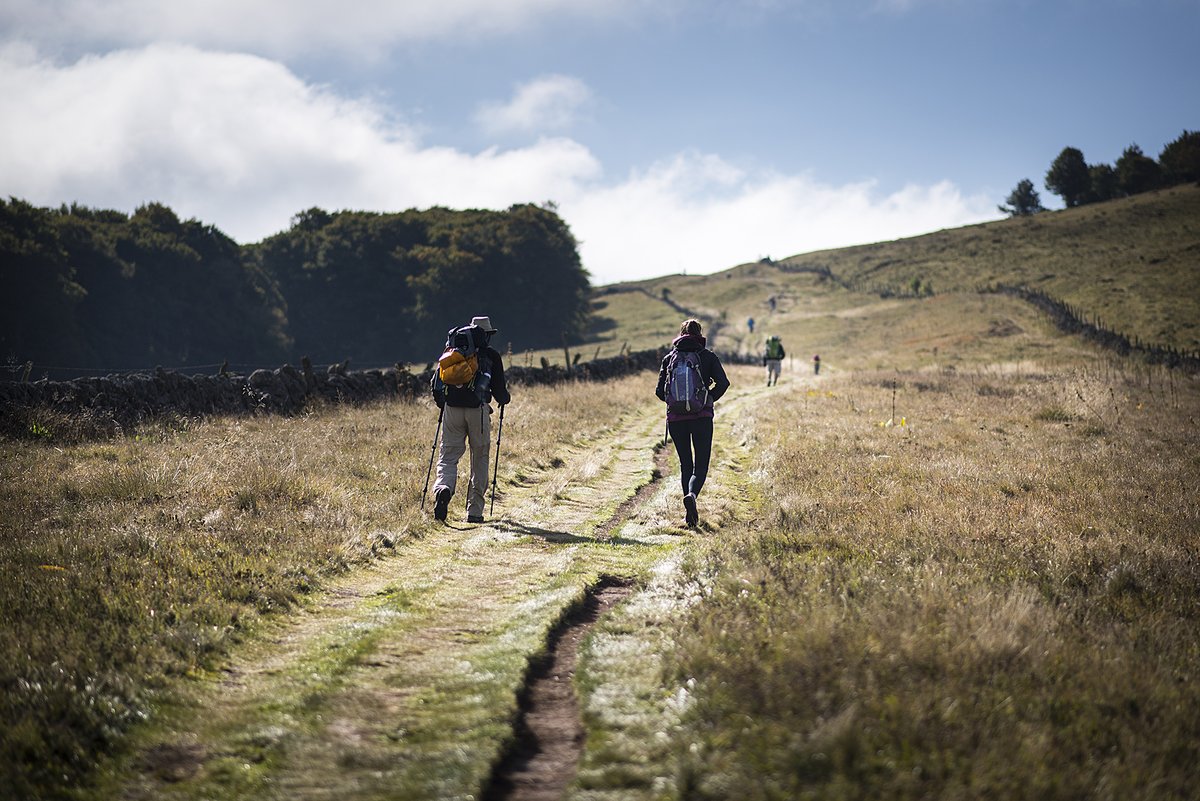 [Pèlerinage de notre compte twitter 😁]
Retrouvez désormais toute notre actualité et celle des chemins de Compostelle sur notre compte twitter : <a href="/ChaminaVoyages/">Chamina Voyages</a> 

À très bientôt sur les chemins ! 

#compostelle #viacompostela #pelerinage #randonnée #chaminavoyages