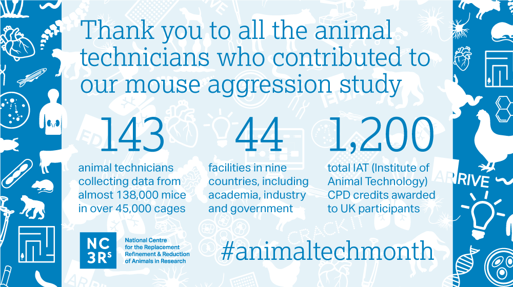 NC3Rs's tweet photo. Our mouse aggression study was the first of its kind to address an animal welfare issue through crowdsourcing: https://t.co/SMPOKbdnne
The project would not have been possible without the input of animal technicians β thank you to everyone who contributed! #animaltechmonth https://t.co/iCpZ0xXF4R