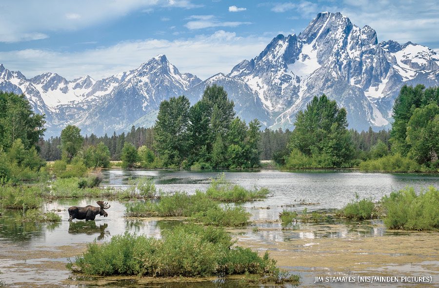 Collin_OMara's tweet photo. The Great American Outdoors Act proposes the largest investment in land conservation and recreational since the CCC!

Full dedicated funding of #LWCF!

Repairing National Parks, National Forests,  Wildlife Refuges, BLM lands, BIE schools!

...and we need your help to get it done! https://t.co/u7rYxGf3gX